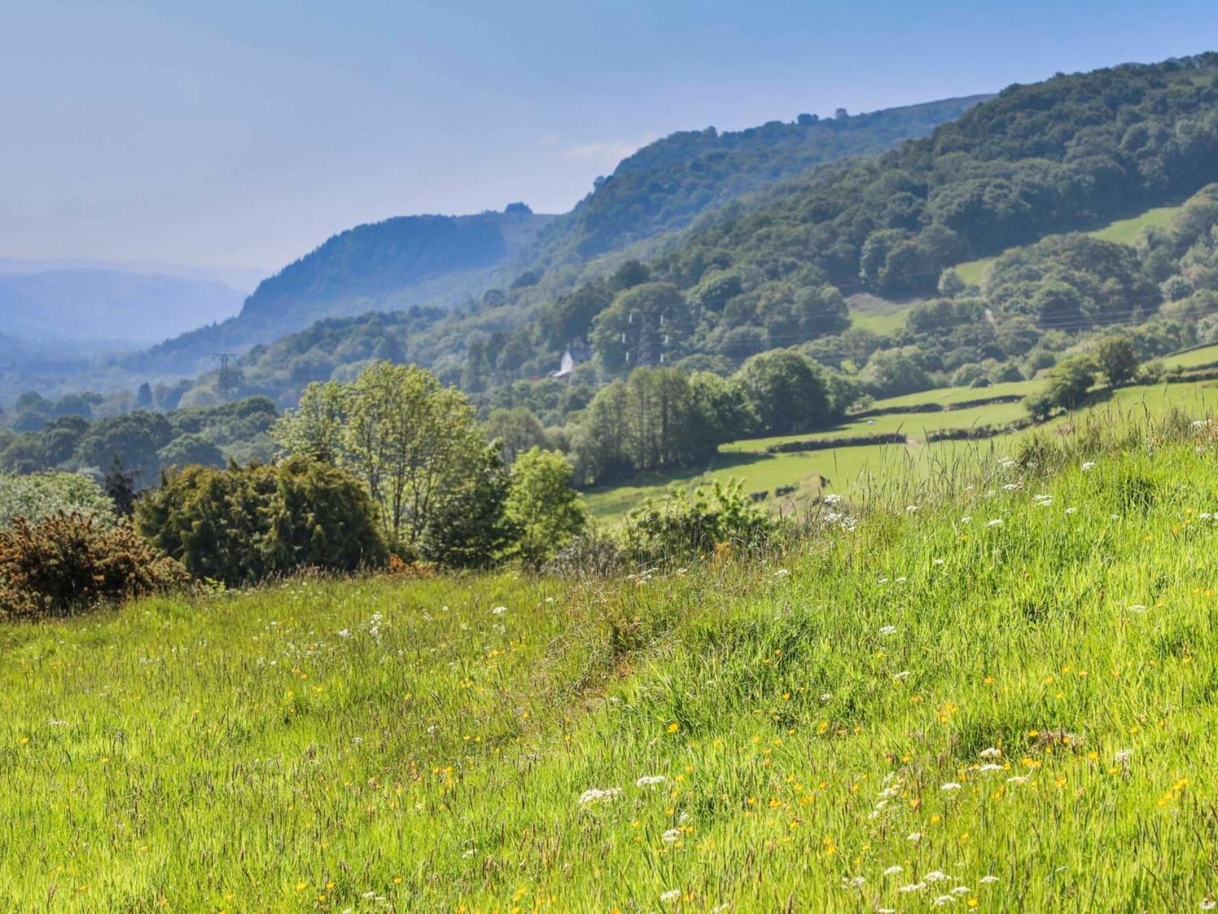 Ty'N Y Cae Villa Llanbedr-y-cennin ภายนอก รูปภาพ